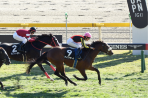 クロワデュノール一強に待った！サンデーレーシング期待の3歳馬（2）血統＆評価で期待大…良血一族の希望の星