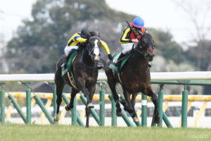 クロワデュノール一強にあらず！サンデーレーシング期待の3歳馬（5）「懸念は吹き飛ぶ」素質開花で好敵手筆頭