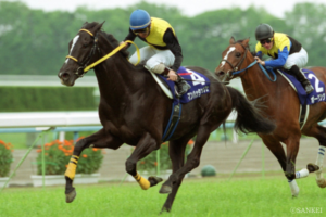重視される「母父の名」…中央競馬BMSランク【3位】単勝38.0倍11番人気で…25億超で連続3位