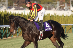 クロワデュノール一強とは言わせない！サンデーレーシング期待の3歳馬（3）間違いない血統！伸び代抜群の理由は