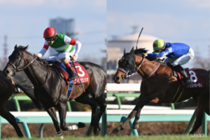 【2025クラシック番付 牡馬編】（3）関脇はこの2頭！ 下剋上も期待…？ どこまで食い下がれるか