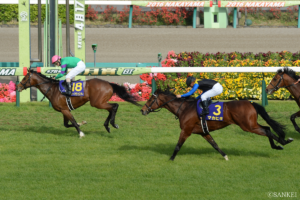 皐月賞”惜敗組”がすごすぎた件…歴代2着の出世馬（3）フランスで勝利！藤岡康太騎手と臨んだ京都でも…