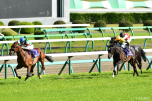 皐月賞”惜敗組”がすごすぎた件…歴代2着の出世馬（4）早熟と晩成…4歳で手がつけられない強さを得たのは？