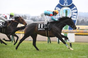 打倒“皐月賞組”！別路線からダービーに臨む馬（1）真価が問われる一戦に…2戦2勝で「青葉賞」へ