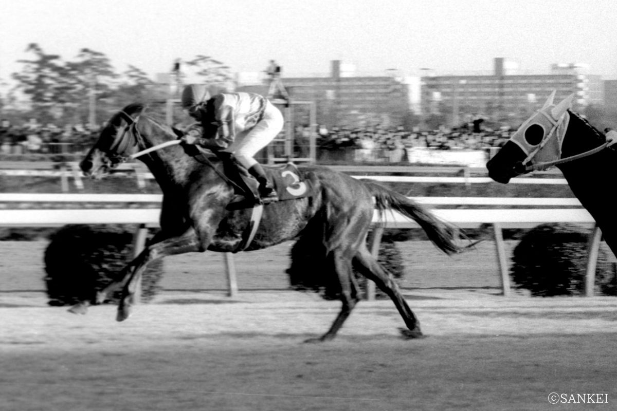 写真は第25回有馬記念を制したホウヨウボーイ