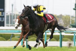 【出馬表】阪神牝馬S