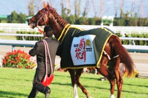 ブライアンズタイム産駒最強馬は？獲得賞金ランキング【第4位】バケモノ級…圧巻の強さのまま電撃引退した流星