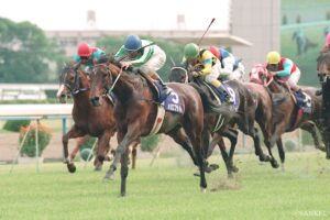 「えっ、ほぼドラマじゃん…」天皇賞・春がGⅠ初制覇の馬（1）完全な一騎打ちで完勝した「父内国産馬の星」