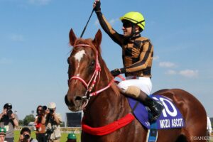 競馬イラストレーター・えいたが選ぶ「推しレース」（1）おいしすぎる…9番人気を的中させた”読み”とは？