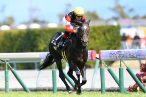 打倒“皐月賞組”！別路線からダービーに臨む馬（4）期待抜群の良血…ダノンファンタジー半弟に新スターの予感