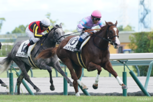 【京阪杯 能力分析】元トラックマンが有力馬を10段階評価！重賞初制覇を狙うナムラクララの総合評価は？