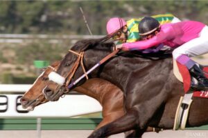 伝説のベストイヤーはいつ？武豊の年度別獲得賞金ランキング【第9位】伝説のマッチレースが爆誕！159勝で年間最多勝記録を更新