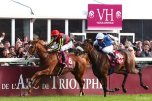 競馬イラストレーターえいたが選ぶ「推しレース」（4）ロンシャンの悲劇…日本列島が騒然とした、その時…