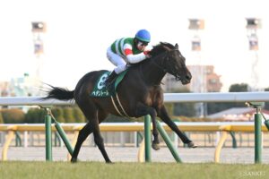 【出馬表】ダイヤモンドS