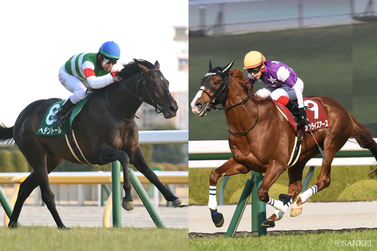 ヘデントール（写真左）とサンライズアース（写真右）