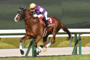 【天皇賞（春）枠順確定】サンライズアースは3枠5番、ジャスティンパレスは7枠13番