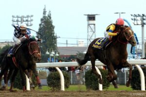 ブライアンズタイム産駒最強馬は？獲得賞金ランキング【第2位】6歳で一気に爆発…！ ダートで荒稼ぎした傑物