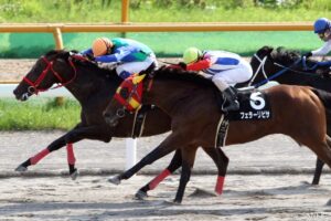 ブライアンズタイム産駒最強馬は？獲得賞金ランキング【第9位】2歳から9歳まで…息長いタフガイといえば？