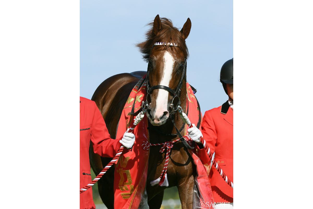 令和で最初のGⅠ勝ち馬となったアドマイヤマーズ