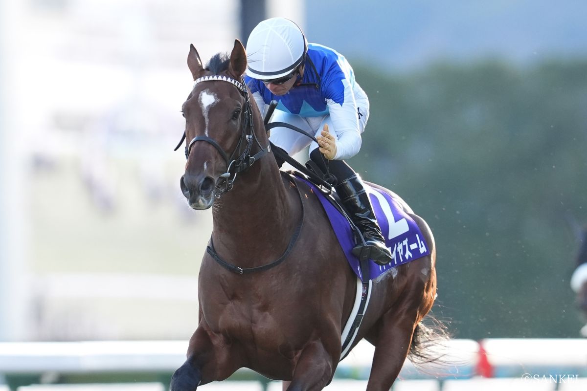 2024年朝日杯FSを制した時のアドマイヤズーム
