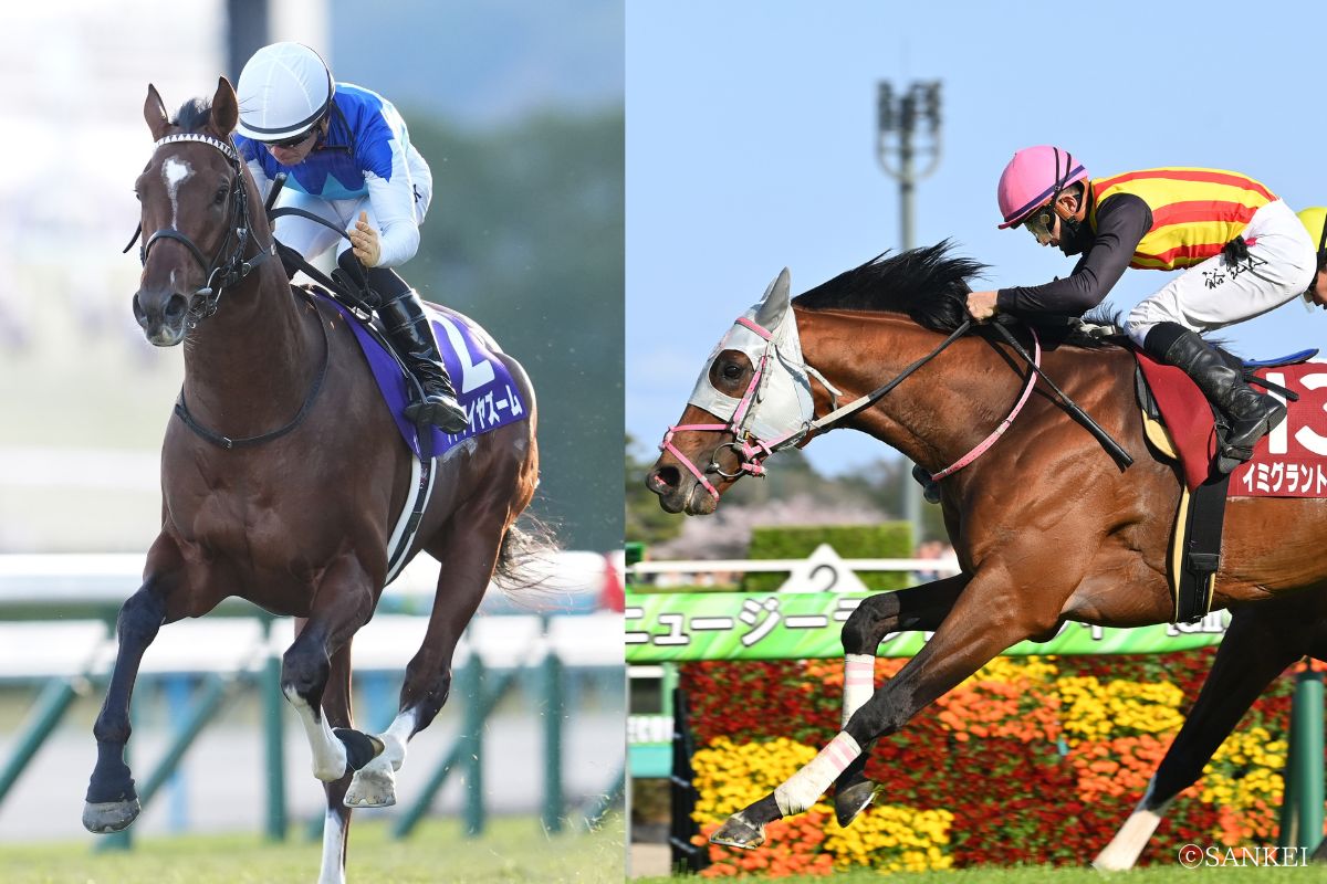 アドマイヤズーム（写真左）とイミグラントソング（写真右）