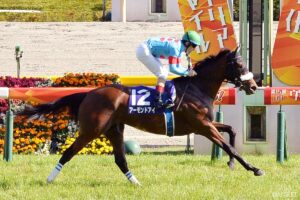 異次元の速さ…ヴィクトリアマイル走破タイムトップテン【第2位】ほぼ持ったまま…えげつない強さの最強馬