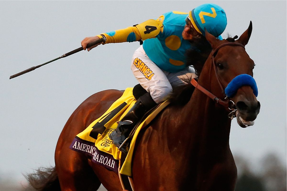 第141回ケンタッキーダービーを制したAmericanPharoah (Photo by Rob Carr/Getty Images)