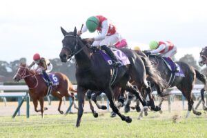 騎手がGⅠ初勝利するまでの挑戦回数ランキング【第3位】デビュー6年目でG1騎乗60回！誰もが認めた才能がついに初戴冠