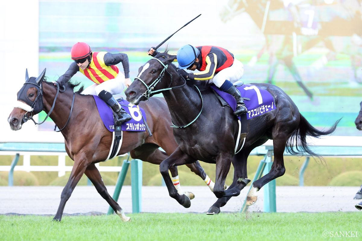 阪神ジュベナイルFを制した時のアスコリピチェーノ