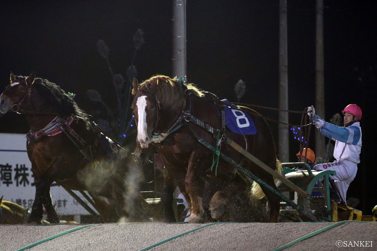 ばんえい競馬
