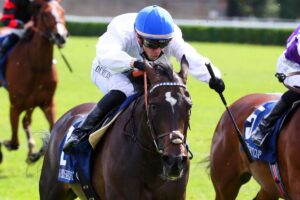 POG有力馬！25年サンデーレーシング”輸入繁殖牝馬”の仔（3）父Frankel × 仏G1馬の母