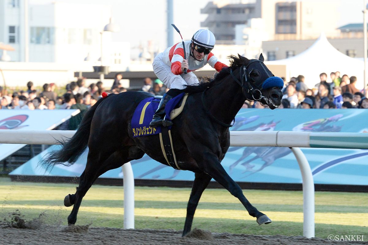 2016年JBCスプリントを制した時のダノンレジェンド