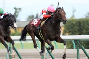 【セントウルステークス2026】勝ち馬の前走はどのレースが有力？過去10年のローテーションを徹底分析