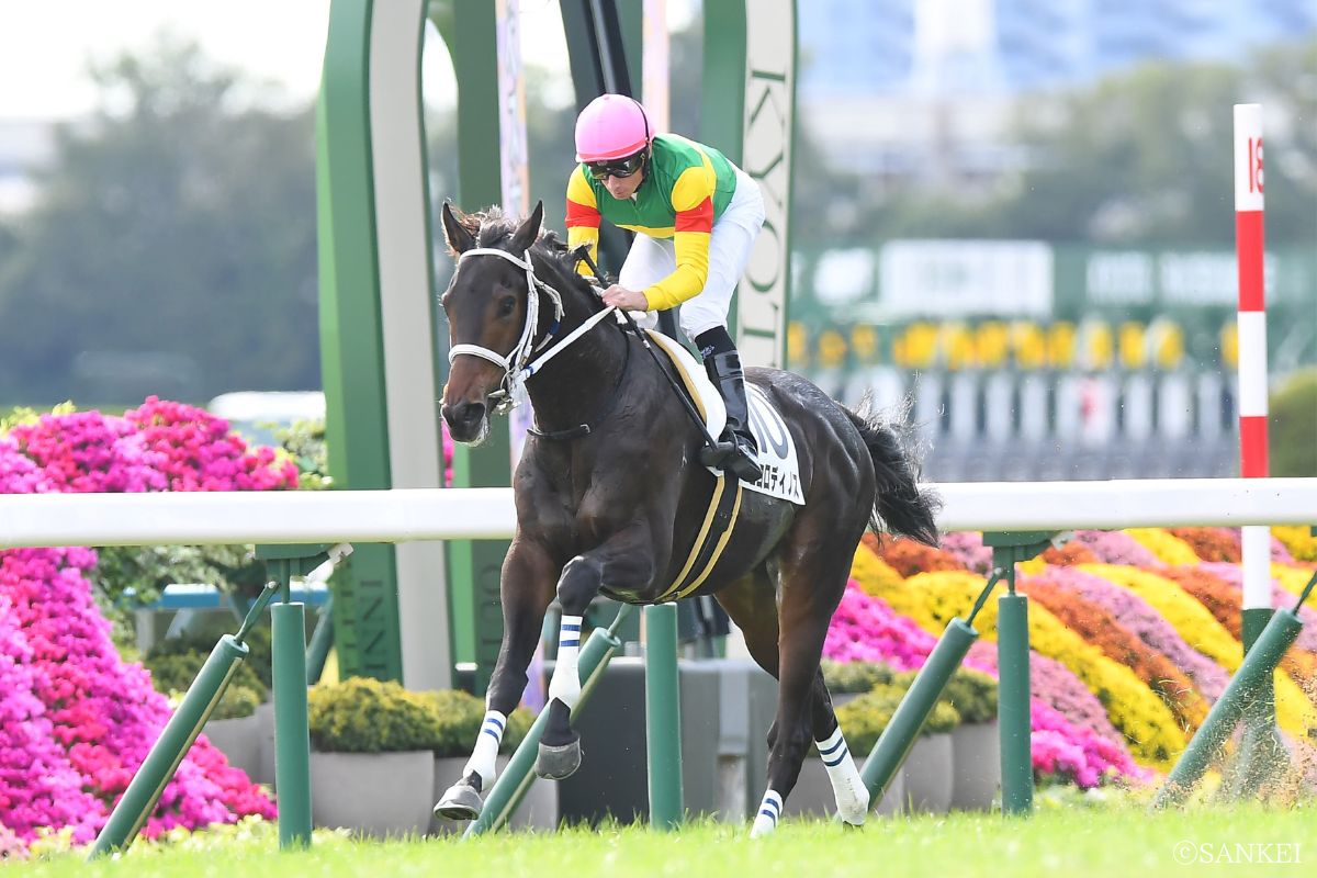 2024年11月新馬戦を制したエコロディノス