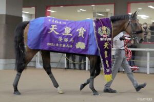 国内最強の血統は…？24年種付け頭数ランキング【第6位】貴女に爆モテ…実績高い牝馬に選ばれる良血の名馬