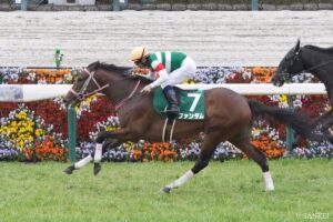 【オーシャンS・前走レビュー】元トラックマンが有力5頭を10段階採点！前走内容が良かったのはどの馬？