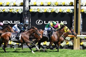 【ステイヤーズS能力分析】元トラックマンが有力馬を10段階評価！気になるワープスピードの総合評価は？