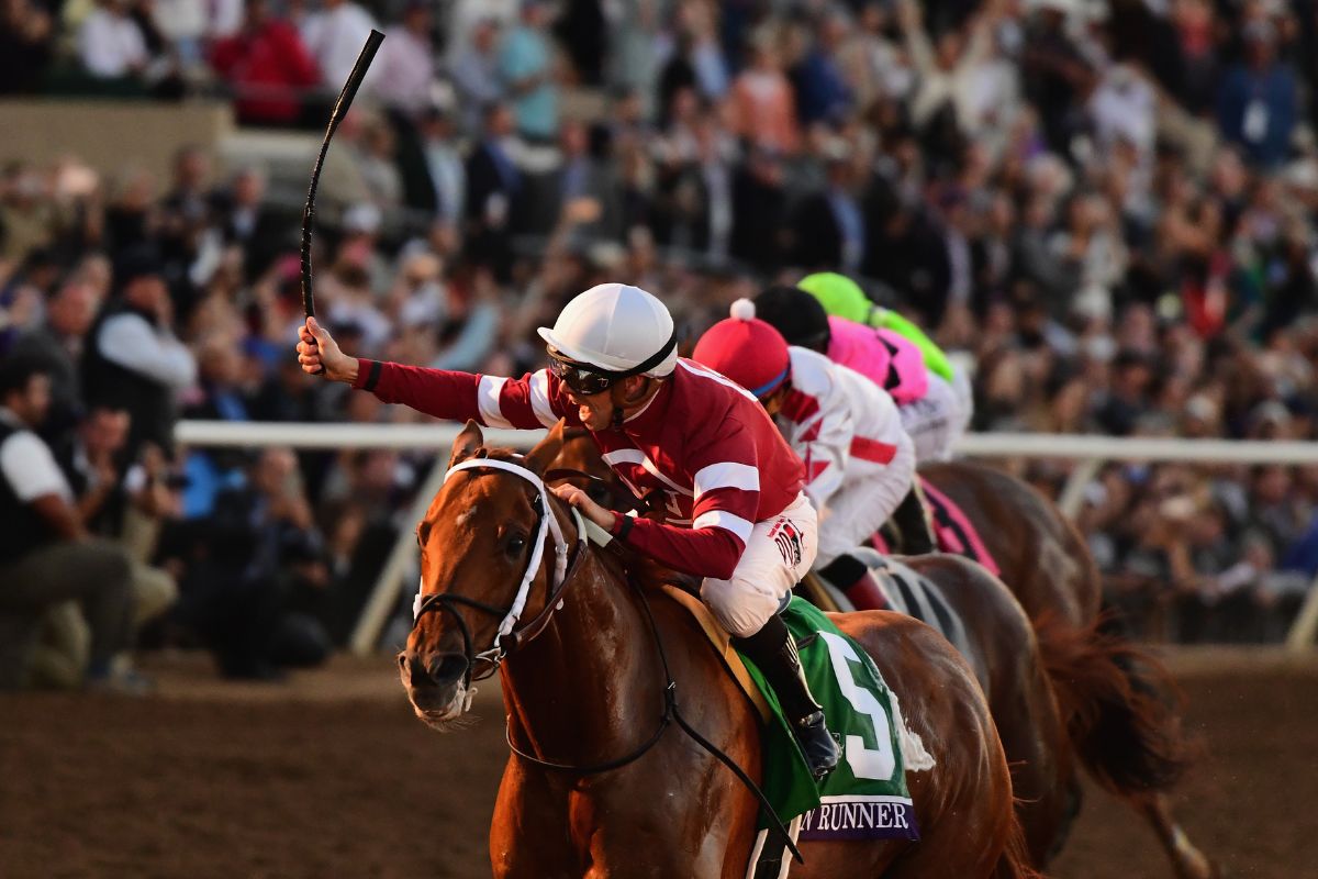 2017年ブリーダーズカップを制したGunRunner (Photo by Harry How/Getty Images)