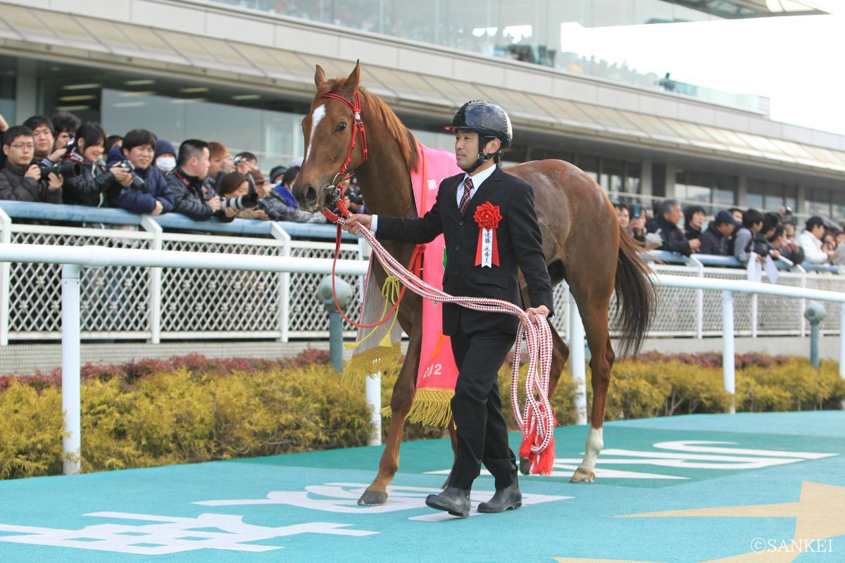 2013年チューリップ賞を制したハナズゴール