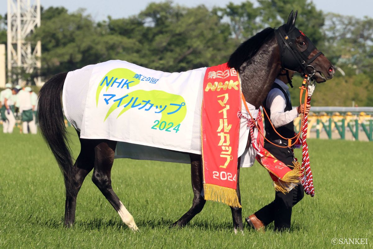 2024年NHKマイルカップを制したジャンタルマンタル