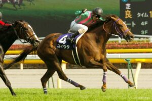 異次元の速さ…ヴィクトリアマイル最速は？ 走破タイムトップテン【第10位】3連単228万馬券…大荒れを演出したのは？