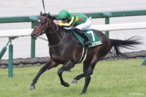 【NHKマイルC 有力馬診断】2歳GⅠ馬アドマイヤズームの評価は？混戦を断ち切るのはどの馬なのか…