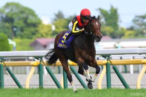 【セレクトセール注目馬（1歳部門）】牝馬3冠リバティアイランドの半弟が上場！落札者は誰に…？ その価格にも注目
