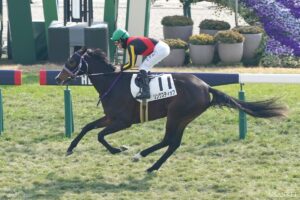 【オークス有力馬診断】◎候補リンクスティップの評価は？2強を崩す可能性は…