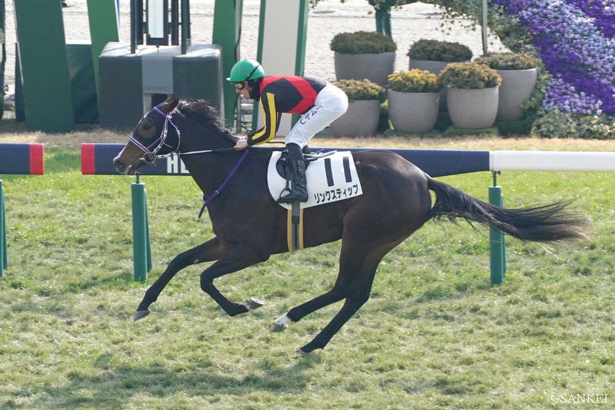 未勝利戦を勝った時のリンクスティップ