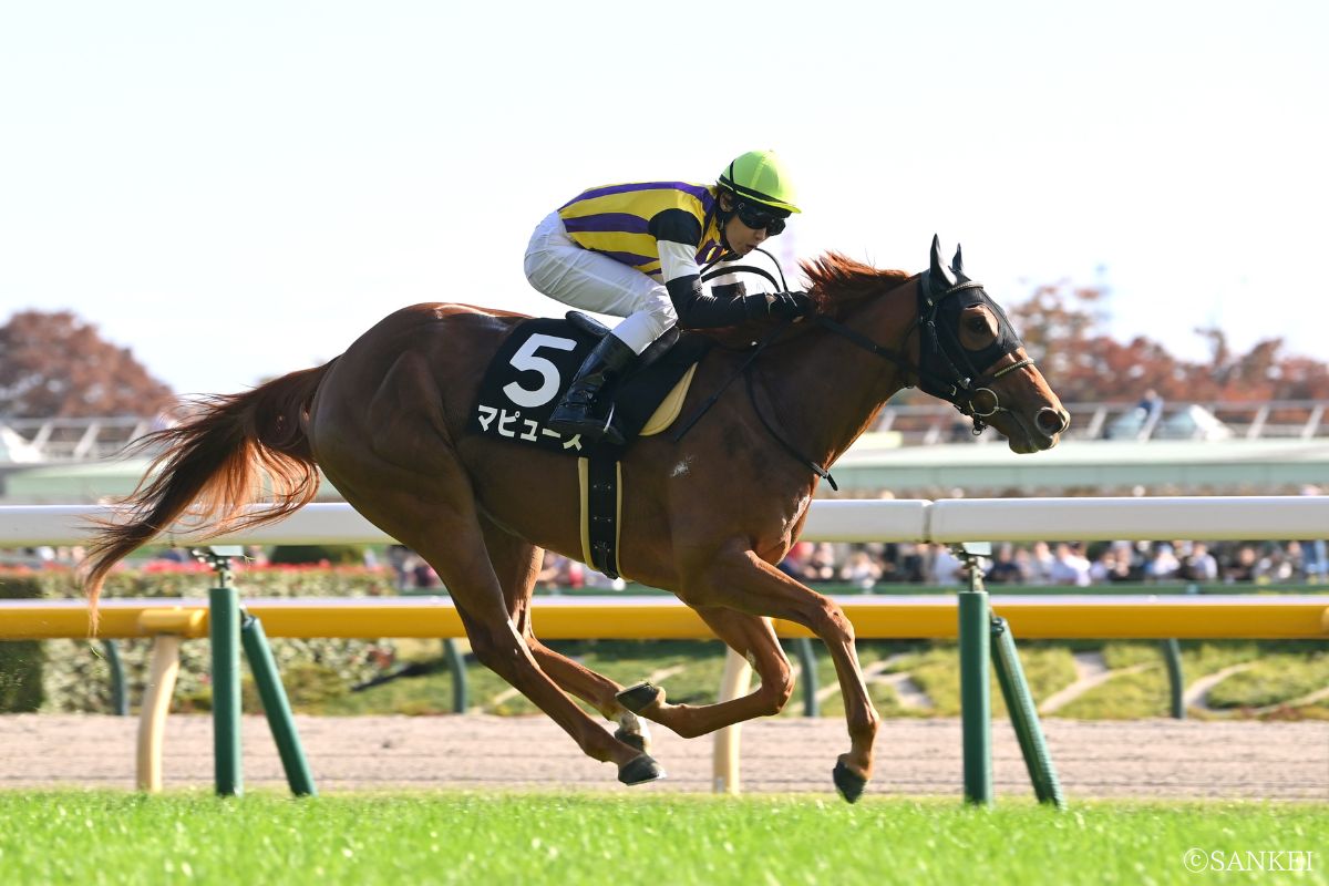 2024年赤松賞を制したマピュース
