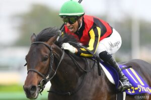 【競馬クイズ ～お金編～】（第3問）1着本賞金が高いレースの順番として正しいのはどれ？