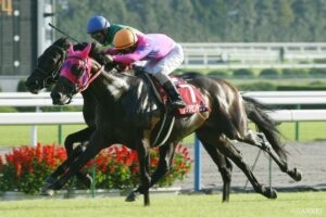 トニービン産駒最強馬は？獲得賞金ランキング【第10位】アイルランド生まれの最強血統！御三家が産んだ良血馬
