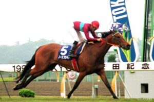トニービン産駒最強馬は？獲得賞金ランキング【第4位】競技短命ながら無双状態…僅か11戦で4.5億円を稼ぐ