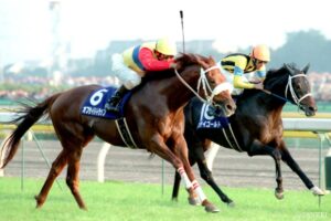 トニービン産駒最強馬は？獲得賞金ランキング【第6位】4、5歳で悪夢の転落も…晩年大爆発した波瀾万丈の名馬